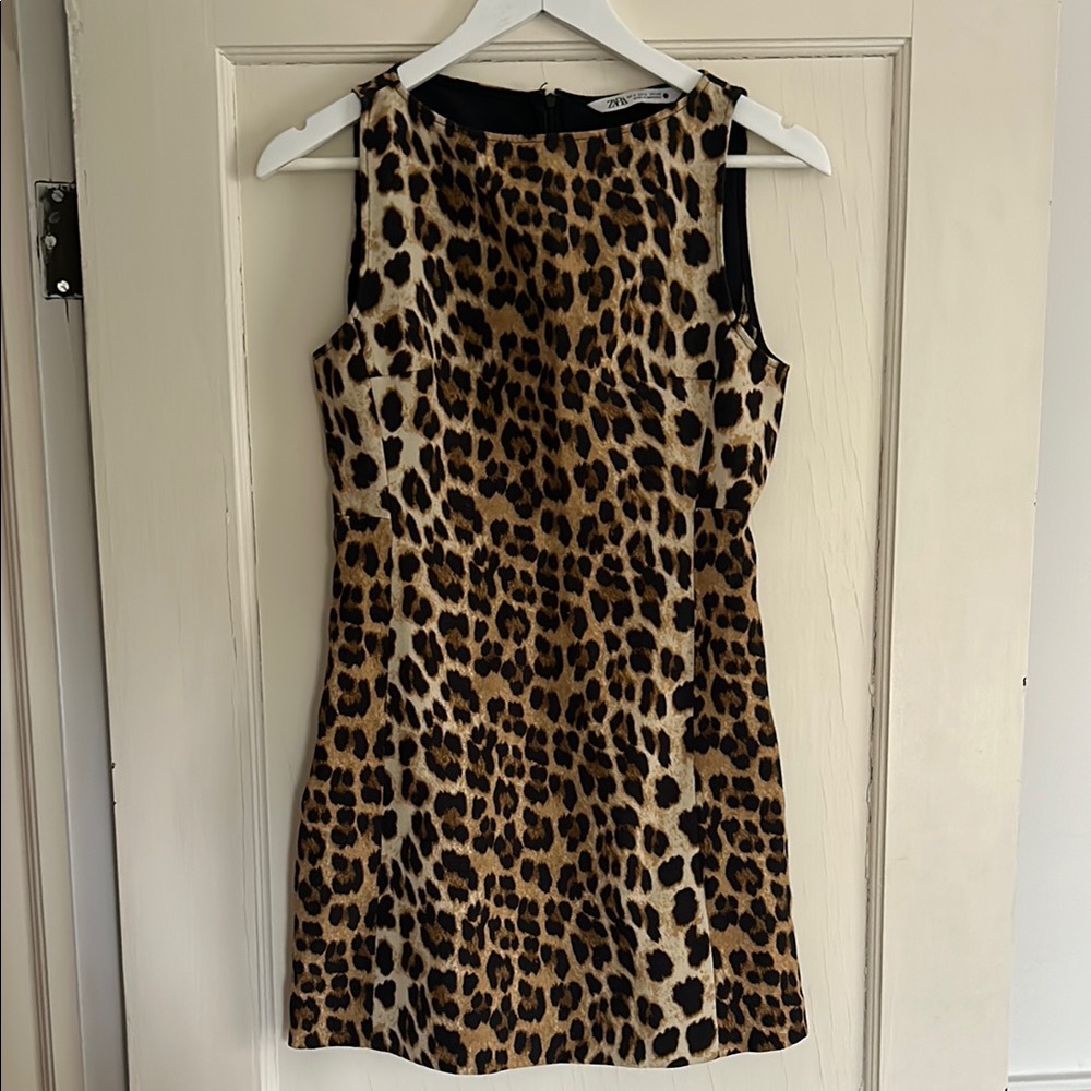 Zara Cheetah Print Mini Dress